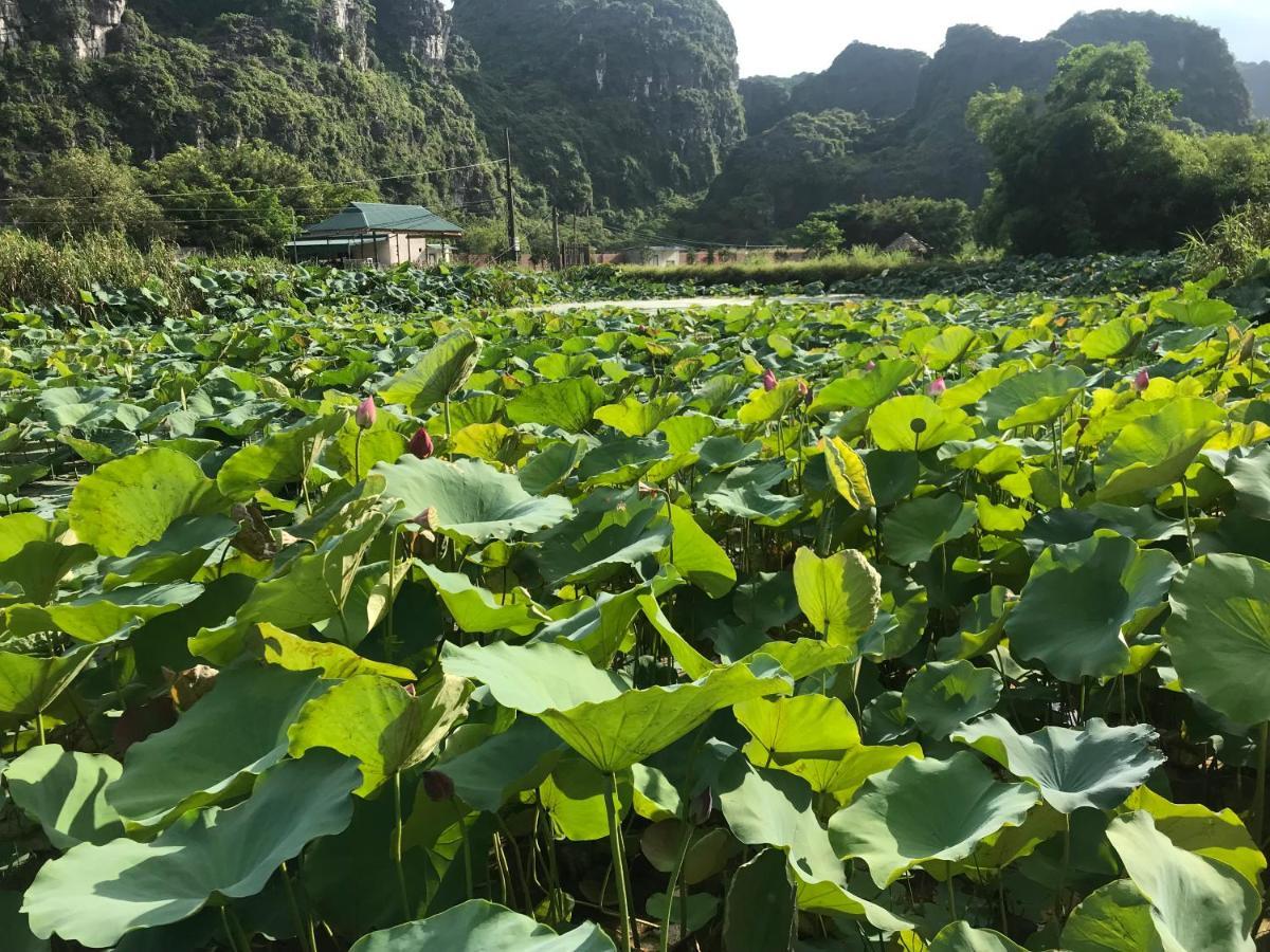 Отель Trang An Lim Garden Xuan Son Экстерьер фото
